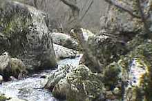 Am Ufer des Hubelj